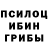 Псилоцибиновые грибы GOLDEN TEACHER Maik Vas