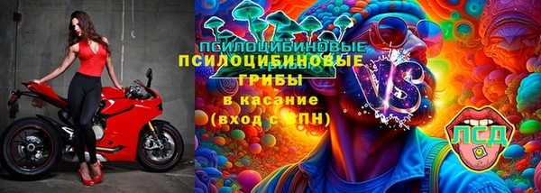 молекула духа Алексеевка