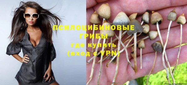 молекула духа Алексеевка